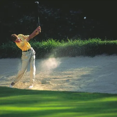 Holiday home Mountainresort 13 Dienten am Hochkoenig